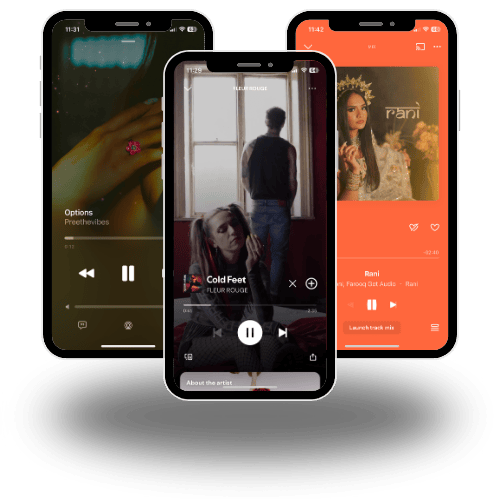 Music Distribution